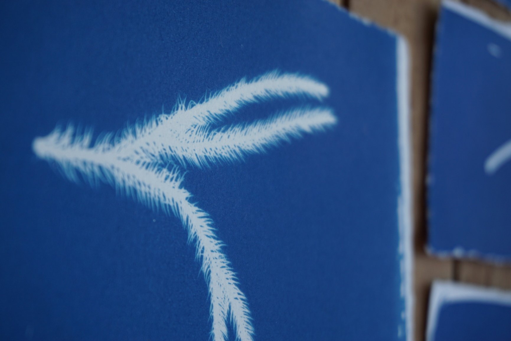 每一丝一缕，都记录在此